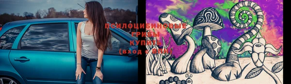 ешки Вяземский
