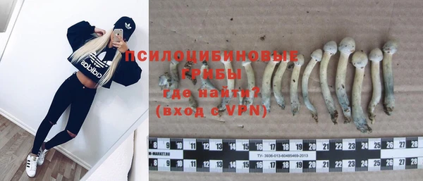 бошки Верея
