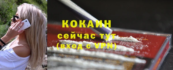 гашик Вязьма
