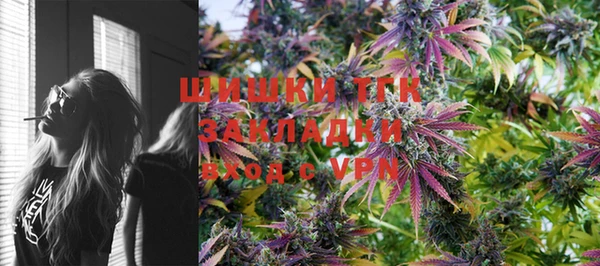 гашик Вязьма