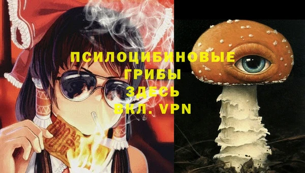 ешки Вяземский
